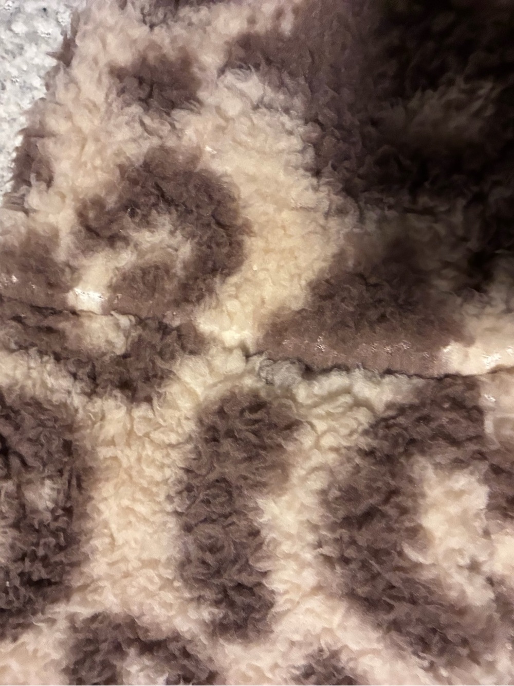 Jessica Simpson Brown and Cream Leopard Print Hooded  Jacket, medium - Picture 6 of 11